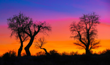 Картинка природа восходы закаты простор