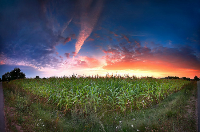 Обои картинки фото природа, поля, простор