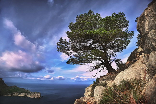 Обои картинки фото природа, побережье, простор