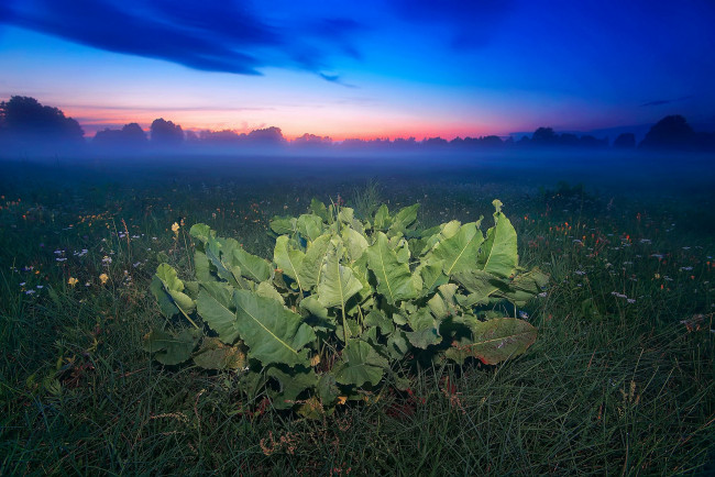 Обои картинки фото природа, поля, простор