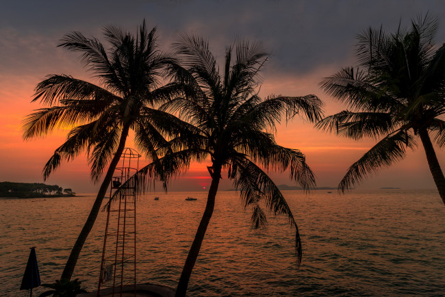 Обои картинки фото природа, тропики, простор