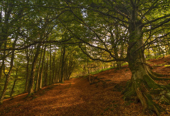 Обои картинки фото природа, дороги, простор