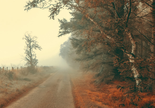 Обои картинки фото природа, дороги, простор