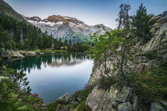 Картинка природа реки озера простор