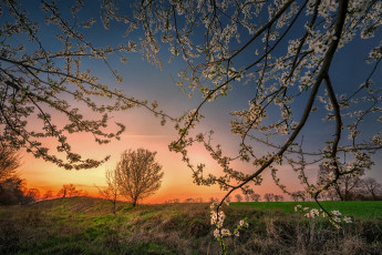 Картинка природа восходы закаты простор