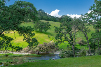 Картинка природа пейзажи простор