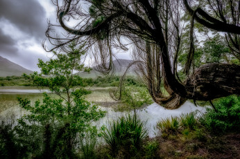 Картинка природа реки озера простор