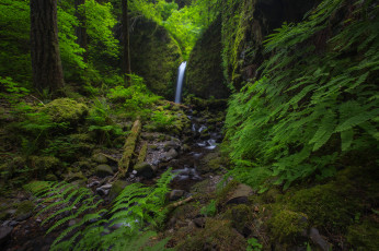 Картинка природа водопады река лес