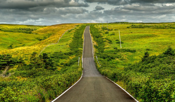 Картинка природа дороги простор