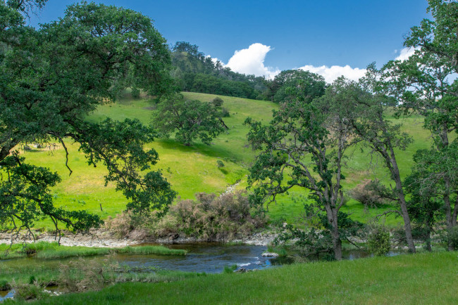 Обои картинки фото природа, пейзажи, простор