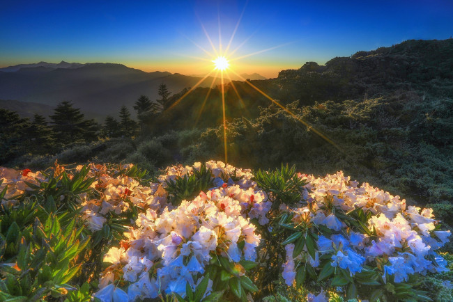 Обои картинки фото природа, восходы, закаты, простор