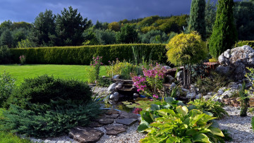 Картинка природа парк водоем цветы