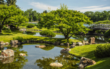 Картинка природа парк водоемы мостик камни