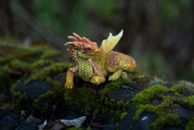 Обои картинки фото разное, игрушки, дракончик, мох, бревно