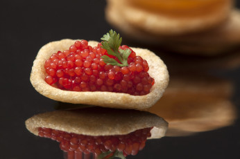 обоя еда, икра, красная, деликатес