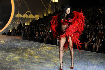 обоя девушки, adriana lima, модель, белье, перья, подиум, люди