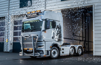 Картинка автомобили man