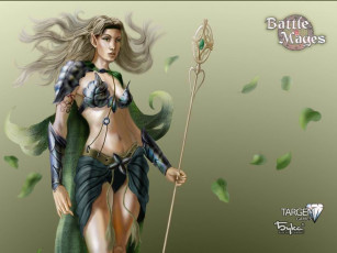 Картинка battle mages видео игры