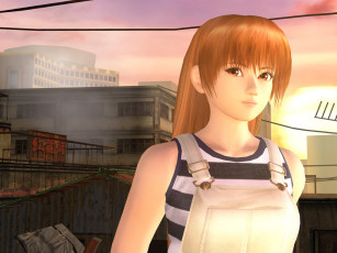 Картинка dead or alive ultimate видео игры