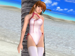 Картинка dead or alive ultimate видео игры