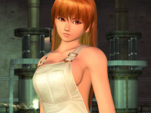 Картинка dead or alive ultimate видео игры