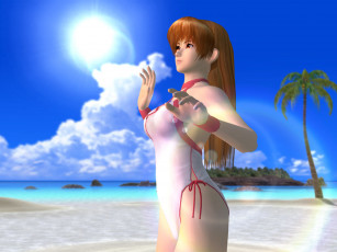 Картинка dead or alive ultimate видео игры