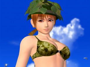 Картинка dead or alive ultimate видео игры