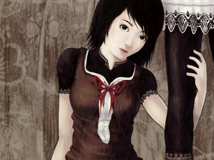 Картинка fatal frame видео игры crimson butterfly