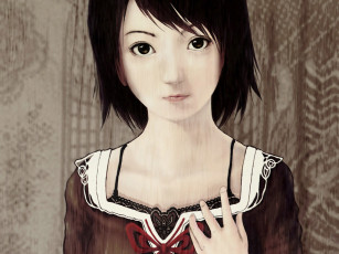 Картинка fatal frame видео игры crimson butterfly