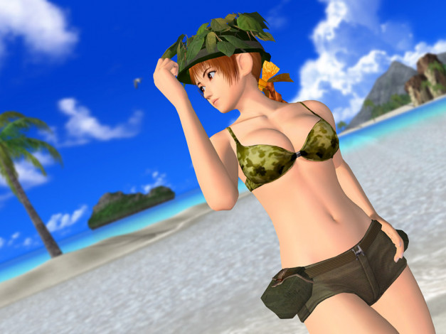 Обои картинки фото dead, or, alive, ultimate, видео, игры