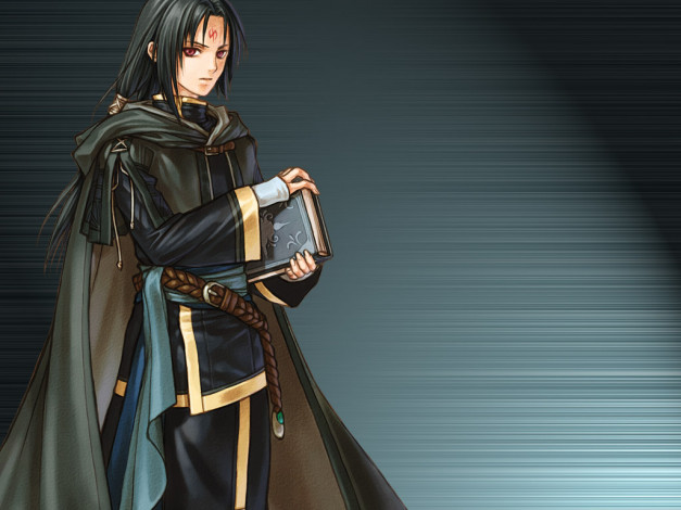 Обои картинки фото fire, emblem, видео, игры, the, sacred, stones