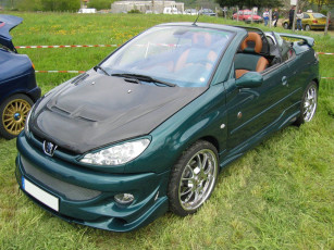 Картинка peugeot 206 cc автомобили