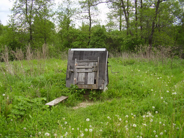 Обои картинки фото 