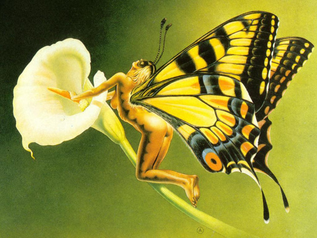 Обои картинки фото фэнтези, существа