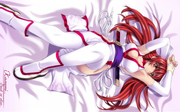 Картинка аниме dead or alive