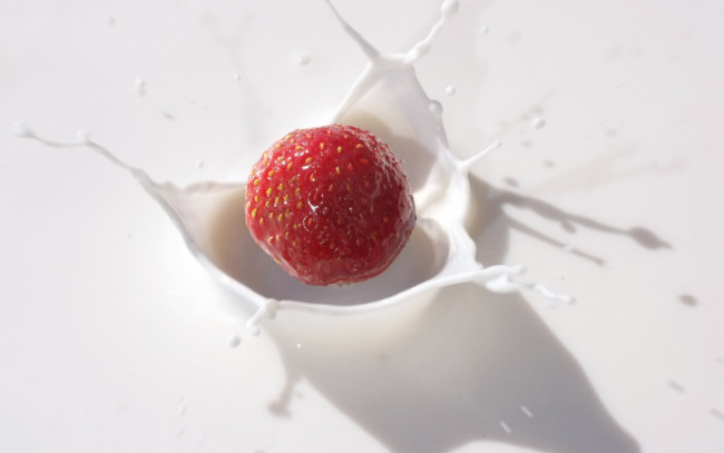 Обои картинки фото еда