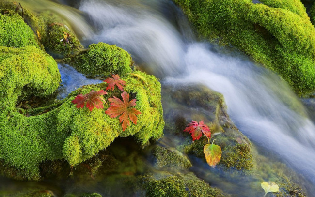 Обои картинки фото природа, реки, озера