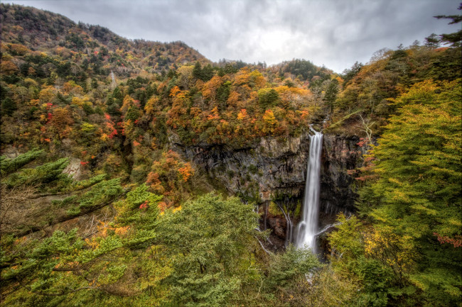 Обои картинки фото природа, водопады, лес, вода