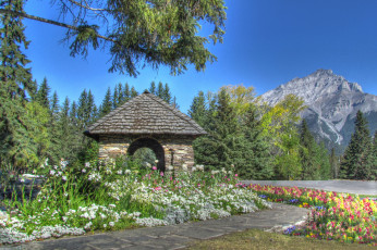 Картинка cascade gardens banff national park alberta canada природа парк банф альберта канада горы деревья цветы