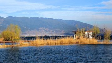 Картинка природа реки озера камыш озеро горы