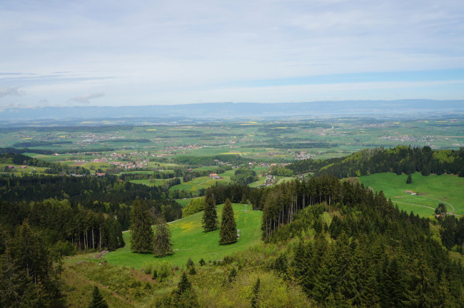 Обои картинки фото gruyere, switzerland, природа, пейзажи, поля, луга, леса