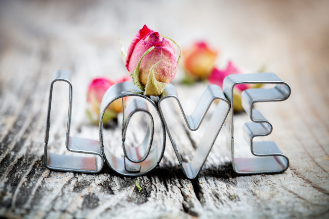 Обои картинки фото праздничные, день, св, валентина, сердечки, любовь, роза, надпись