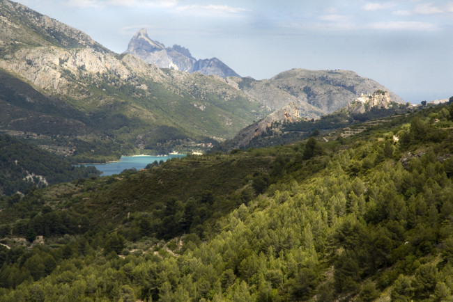 Обои картинки фото spain, природа, горы, лес, испания, озеро