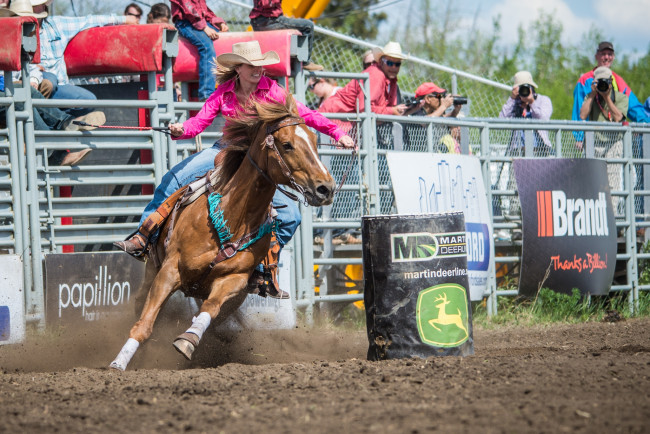 Обои картинки фото спорт, - другое, родео, всадница, конь