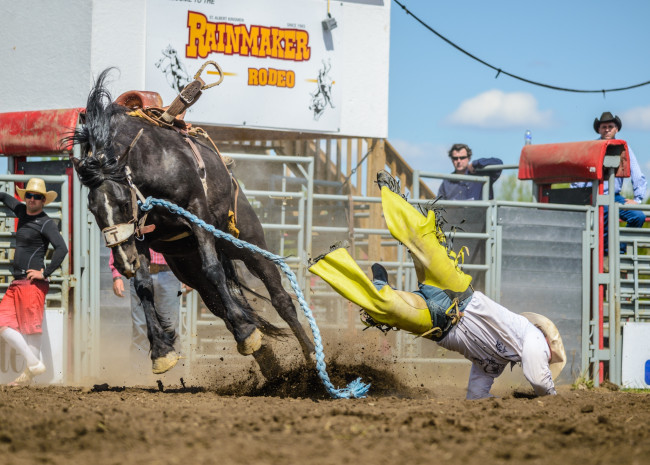 Обои картинки фото спорт, конный спорт, конь, падение, родео, всадник