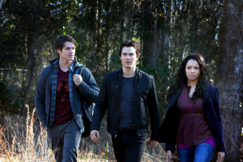 Картинка кино+фильмы the+vampire+diaries ведьма охотник вампир