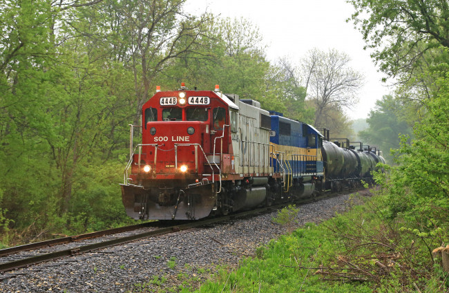 Обои картинки фото техника, поезда, рельсы, локомотив, состав