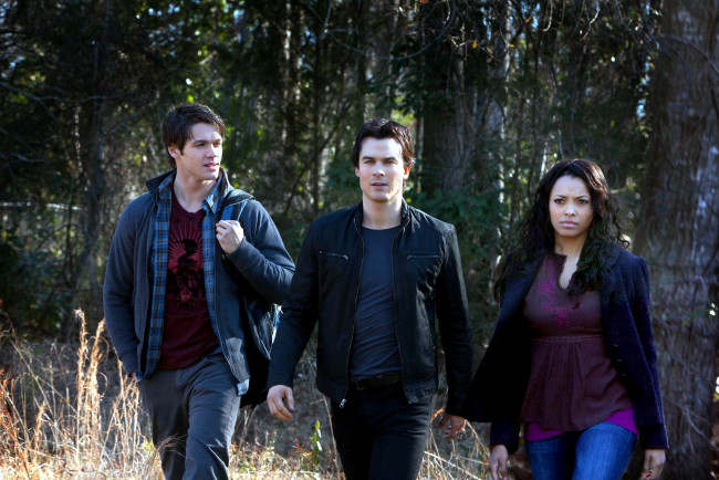 Обои картинки фото кино фильмы, the vampire diaries, ведьма, охотник, вампир