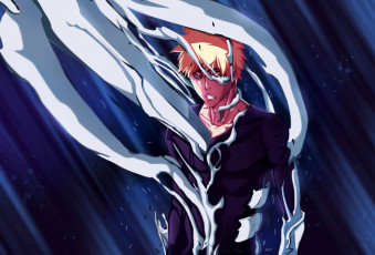 Картинка аниме bleach ичиго