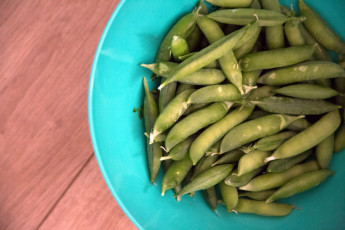 Картинка еда бобовые фасоль стручки